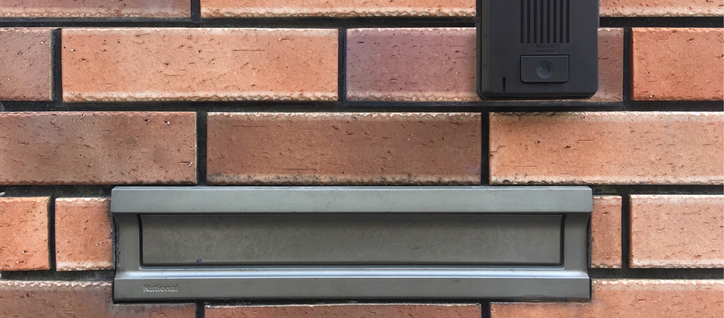 信州産　幻のポポの種子　ポスト投函 信州産 幻のポポの種子 ポスト投函